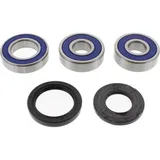 Wheel bearing and seal kit 251390