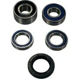 Wheel bearing and seal kit 251464