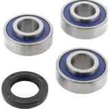 Wheel bearing and seal kit 251366