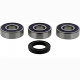 Wheel bearing and seal kit 251370