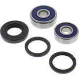 Wheel bearing and seal kit 251179