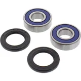 Wheel bearing and seal kit 251225