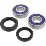 Wheel bearing and seal kit 251253