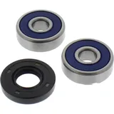 Wheel bearing and seal kit 251303