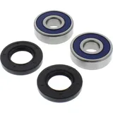 Wheel bearing and seal kit 251317