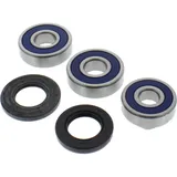 Radlager Satz komplett All Balls 251340
