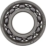 bearing 6004 c3 skf