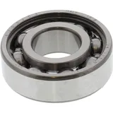 bearing 6203 c3 skf