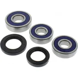 Wheel bearing and seal kit 251355