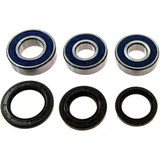 Wheel bearing and seal kit 251557
