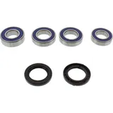 Wheel bearing and seal kit 251563
