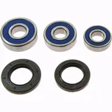 Wheel bearing and seal kit 251603