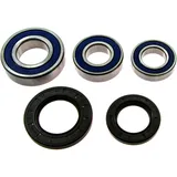 Complete Wheel Bearing and Seal Kit for Motorcycles 7521055