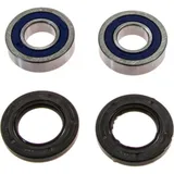 Wheel bearing and seal kit 251653