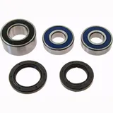 Wheel bearing and seal kit 251658
