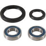 Wheel bearing kit complete all balls racing 251753