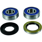 Radlager Satz komplett All Balls Racing mit Wellendichtring passend für: BMW F 800