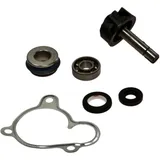Water pump repair kit 100110270