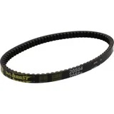Drive belt gates 980221504