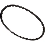 Drive belt MITSUBOSHI 22X834 for: Piaggio SKR, Hexagon