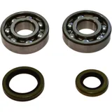 Kurbelwellenlager Satz All Balls Racing mit Wellendichtring passend für: Gas Gas EC, MC