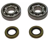 Crankshaft bearing kit 241102 Crankshaft bearing kit 241102