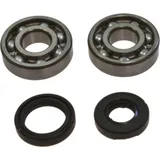 Crankshaft bearing kit 241008