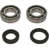 Crankshaft bearing kit 241074