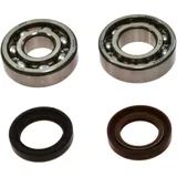 Crankshaft Bearing Kit with Seals - All Balls Racing 7560168