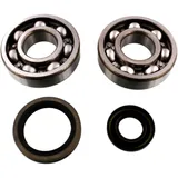 Crankshaft Bearing Kit with Seals for Tourmax