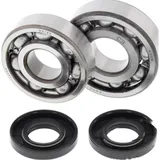 Crankshaft bearing kit all balls racing 241007