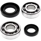 Crankshaft bearing kit ALL BALLS racing with seals for: Suzuki JR, LT - A