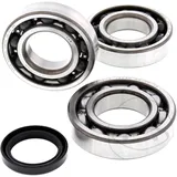 Kurbelwellenlager Satz All Balls Racing mit Wellendichtring passend für: Polaris Trail Boss, Magnum, Trail Blazer