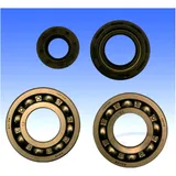 Crankshaft bearing kit ATHENA for: Fantic XX