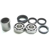 Swing arm needle bearing repair kit