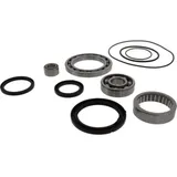 Differential repair kit 252033