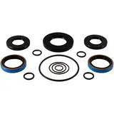 Dichtung Differential Satz All Balls Racing passend für: Polaris Sportsman 7731667