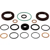 Dichtung Differential Satz All Balls Racing passend für: CAN - AM Outlander, Renegade