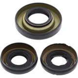 Differential Reparatursatz vorne All Balls Racing 2520035