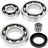 Differential Reparatursatz hinten All Balls Racing passend für: Kawasaki KLF