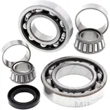 Diff repair kit rear ALL BALLS racing for: Kawasaki KLF 7731701
