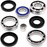 Diff repair kit rear ALL BALLS racing for: Arctic Cat/Textron Cat