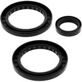 Differential Reparatursatz hinten All Balls Racing passend für: Polaris Sportsman 7731718