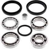 Differential Reparatursatz hinten All Balls Racing passend für: Arctic Cat/Textron Cat, Alterra, Thundercat