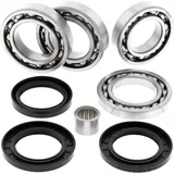 Rear Differential Repair Kit for Motorcycles All Balls Racing