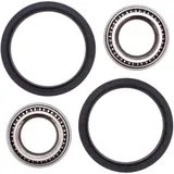 Federbeinlager Satz All Balls Racing passend für: Polaris Sportsman, Scrambler, Xplorer