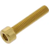 Hex socket cap screw probolt LPB525G