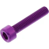Hex socket cap screw probolt LPB525P