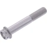 Hex bolt probolt LHX1060FRSE