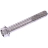 Schraube 6 Kant M10 x 1. 25 mm 65 mm Edelstahl V4A passend für: Triumph Tiger, Street Triple, Speed Triple